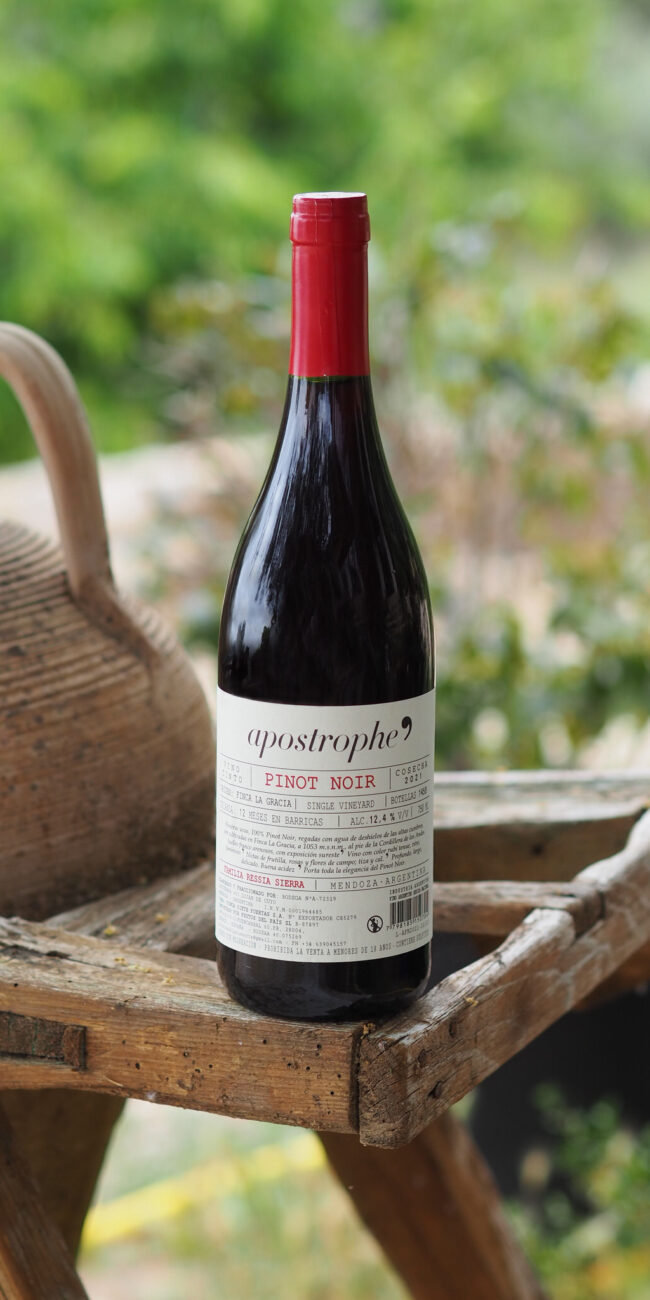Vino Pinot Noir Vino Pinot Noir